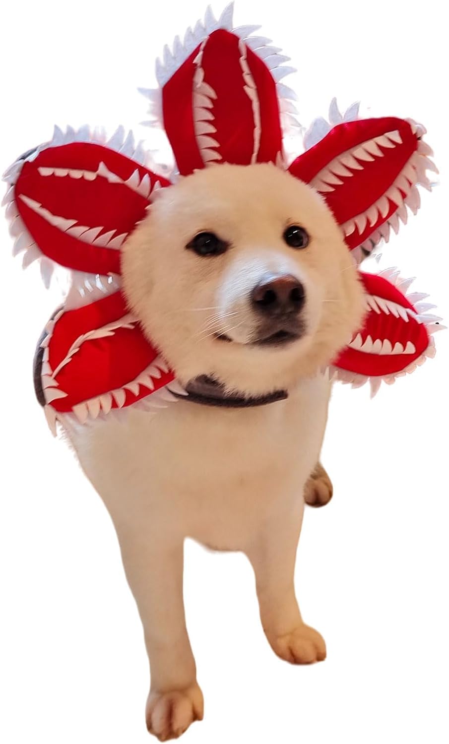 Dog Halloween Chomper Costume - Pet Holiday Demon Hat Scary
